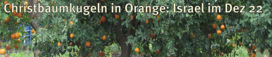 Christbaumkugeln in Orange: eine Gruppenreise im Dez 22